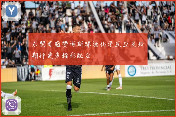 东契奇盛赞海斯球场化学反应良好期待更多精彩配合