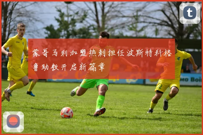 蒙哥马利加盟热刺担任波斯特科格鲁助教开启新篇章